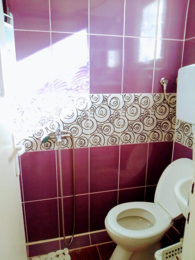 Hostal Timocko Gnezdo Zaječar Exterior foto