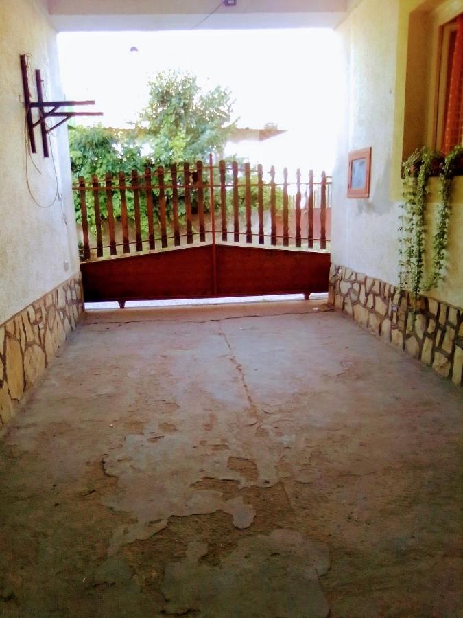 Hostal Timocko Gnezdo Zaječar Exterior foto