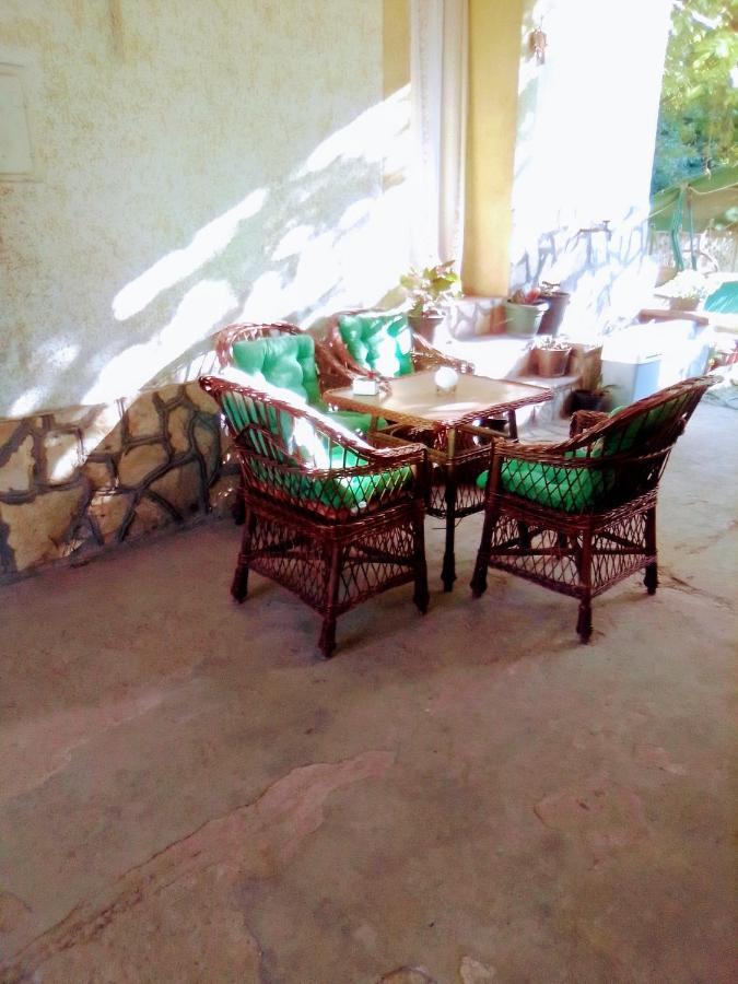 Hostal Timocko Gnezdo Zaječar Exterior foto
