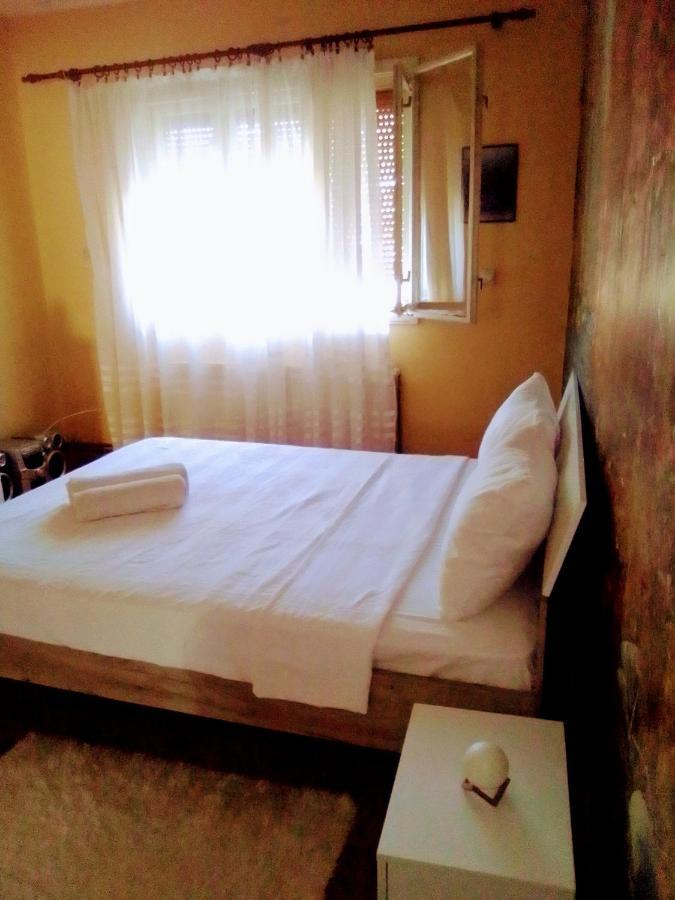 Hostal Timocko Gnezdo Zaječar Exterior foto